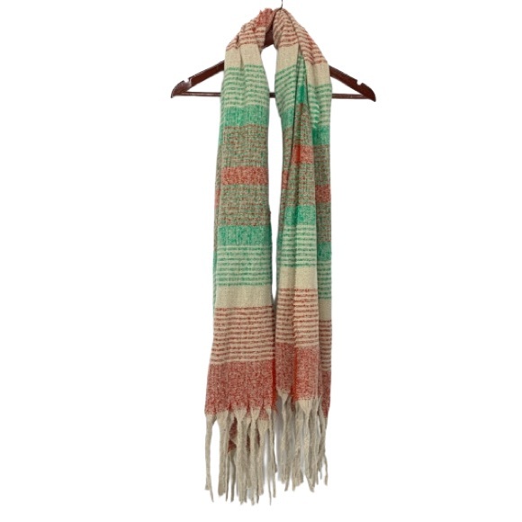 Renee’s Accessories Striped Plush Soft Cozy Knit Fringe Boho Scarf New Nwot - Picture 1 of 11